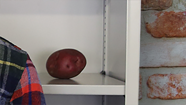 Illustration for article titled At First You Won’t Notice Potato In This Photo…But Once You See Potato…You’ll Never Unsee Potato…It Is On Shelf…Behind Man…